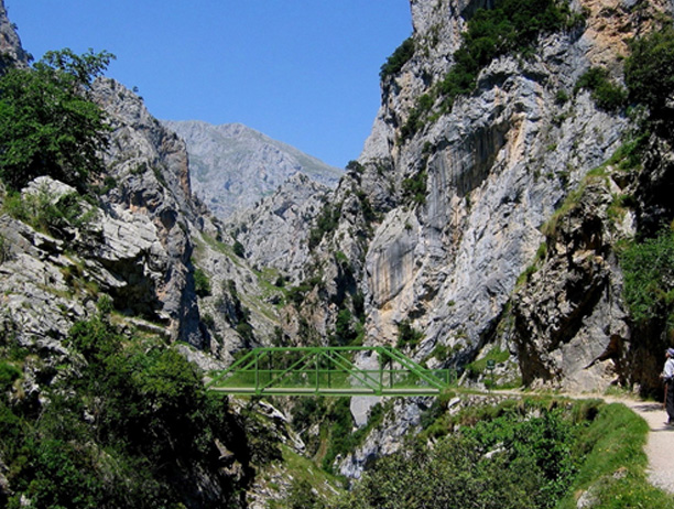 Puente Bolin