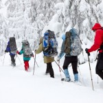 5 Consejos sobre raquetas de nieve