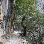 ruta del cares, asturias, leon