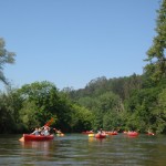 descenso del rio sella en canoa